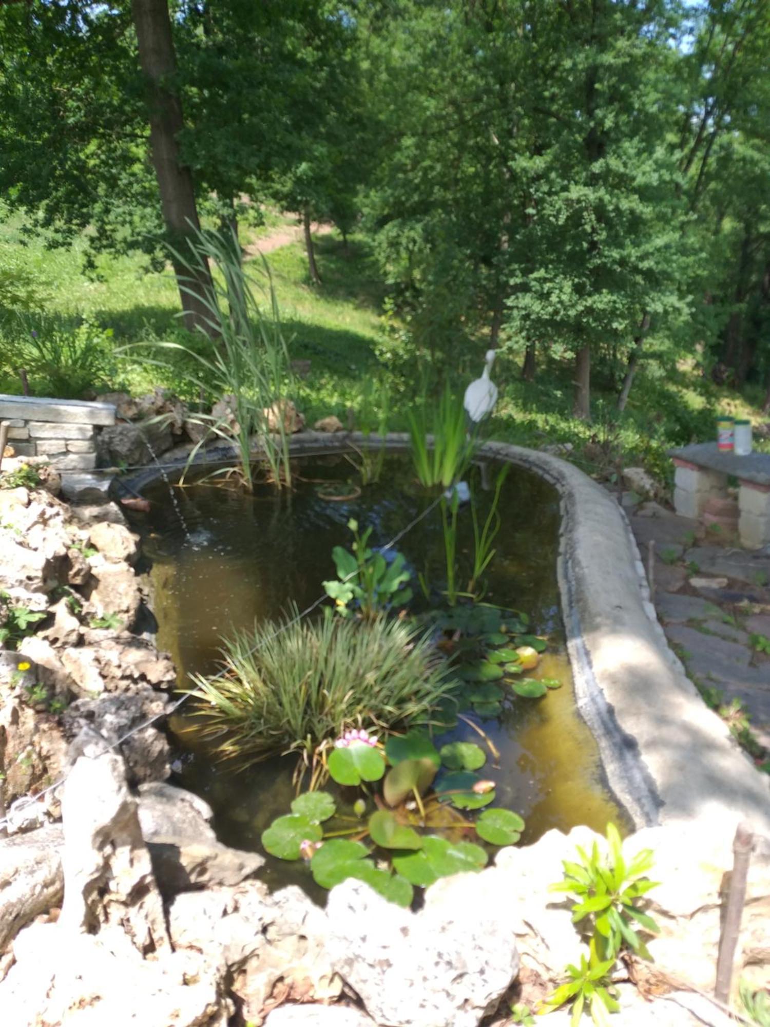 B&B La Bianchina Monale Zewnętrze zdjęcie